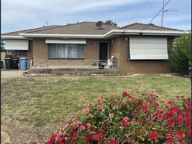 Spacious Home with Two Living Areas & Great Shed!