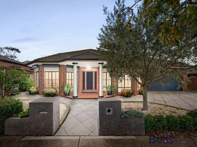 Spacious Living, Seamless Entertaining