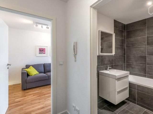 Spacious, lovely suite, Leipzig Amsterdam Apartments for Rent