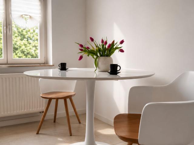Spacious Modern Apartment with Two Bathrooms and Lake Views, Berlin Amsterdam Apartments for Rent