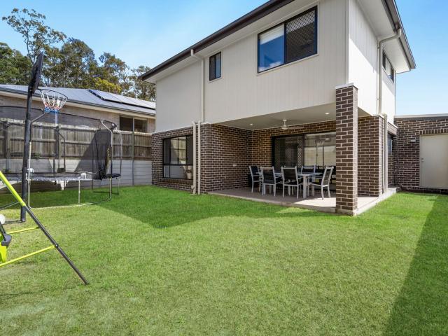 Spacious Modern Family Living with Tranquil Bushland Views