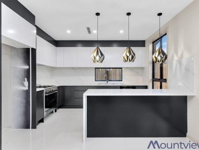 Spacious modern house