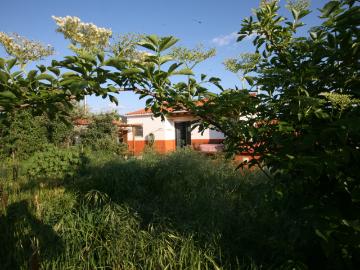 Serra e Junceira, Tomar, Distrito de Santarém