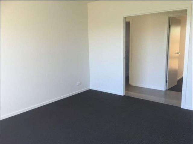 Spacious Modern Living in Nudgee