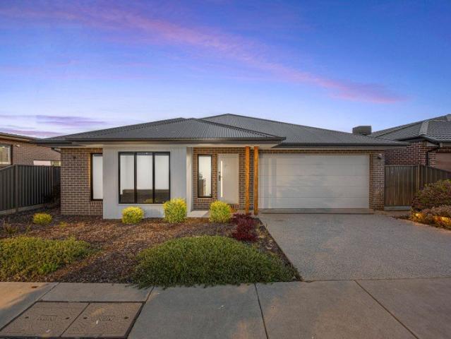 Spacious Modern Living in a Sought After Lucas Location