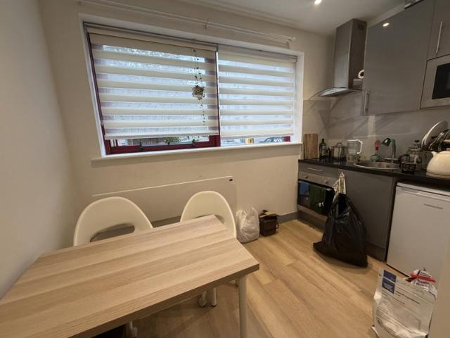 Spacious Modern Studio NW9