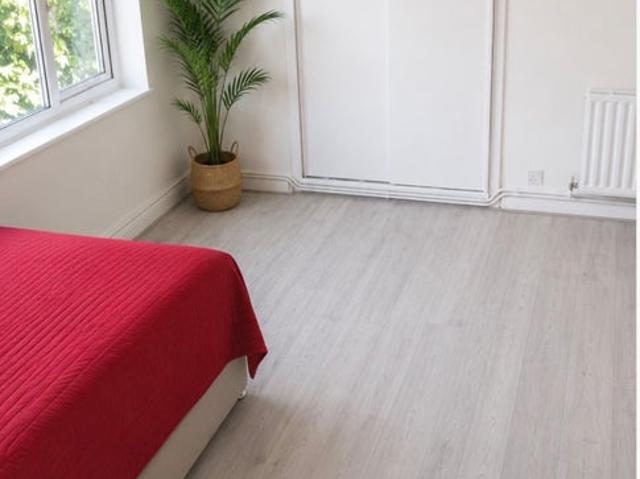 Spacious Modern Studio single occupancy/2 sharing