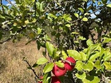 Spacious Musk Vale Property for Sale at $950,000 30,650m² Land
