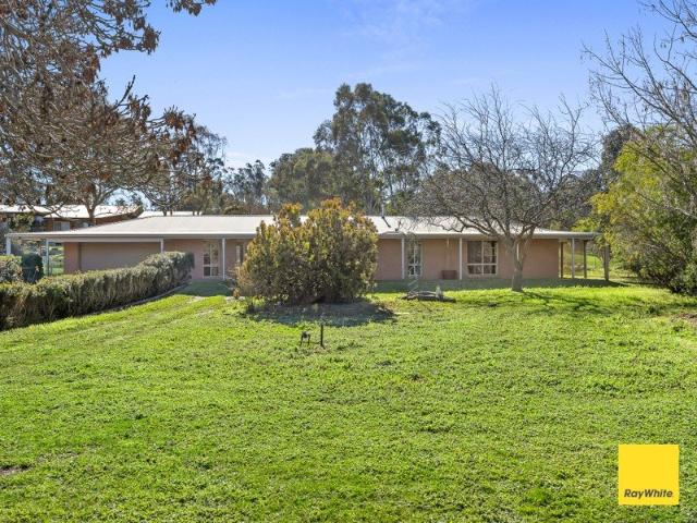 Spacious Newly Renovated Family Home with Pool in Sought After Maiden Gully
