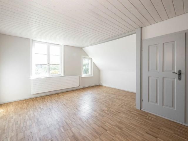 Spacious old town house with garden in the Weinfelder old town