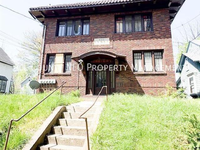 Spacious one‑bedroom, one‑bath home in Akron offering generous room sizes and beautiful natural light throughout!