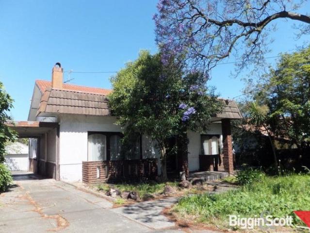 Spacious Original Home in the Heart of Camberwell