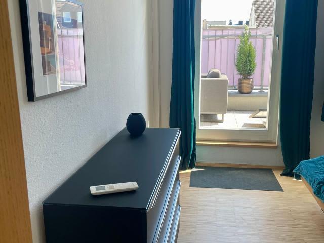 Spacious Penthouse in Prime City Location, Leipzig Amsterdam Apartments for Rent