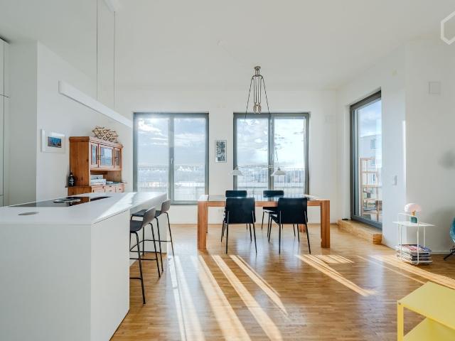 Spacious Penthouse Living with Stunning Terrace Views in Mitte, Berlin Amsterdam Apartments for Rent
