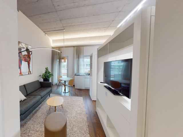 Spacious Premium Loft in Zurich Altstetten, Zurich Amsterdam Apartments for Rent