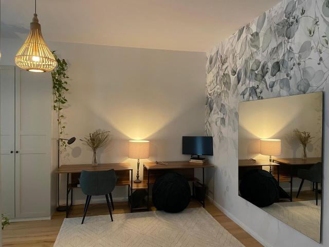 Spacious Renovated 1 Bedroom Apartment in Fhain, Berlin Amsterdam Apartments for Rent