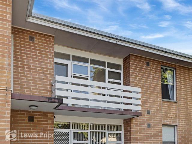 Spacious, Renovated Living in a Convenient Westbourne Park Location