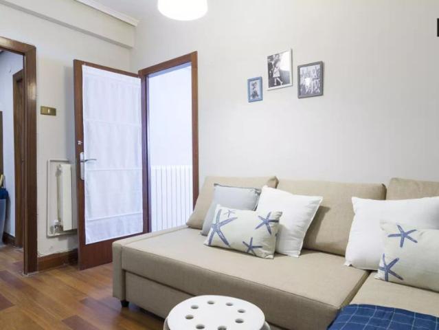 Spacious room in 4 bedroom apartment in Ibaiondo
