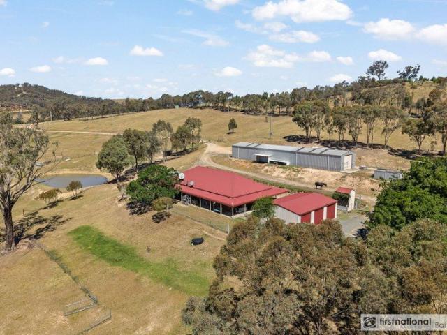 Spacious Rural Lifestyle with Extensive Shedding