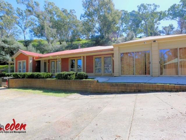 Spacious Rural Living at 477 One Tree Hill Road on 4.9hectare ~49,000sqm of land