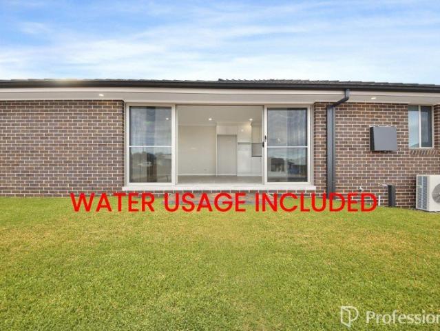 Spacious & Secured Yard