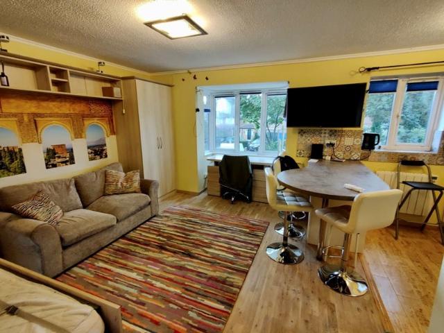 Spacious, self contained studio flat, W5, zone 3