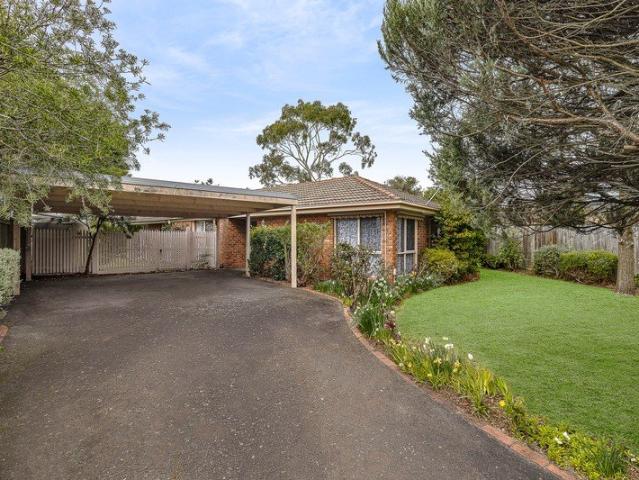 Spacious Serenity in Boronia