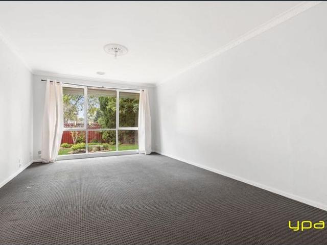 Spacious Single Level Home with Pool & Alfresco Entertaining