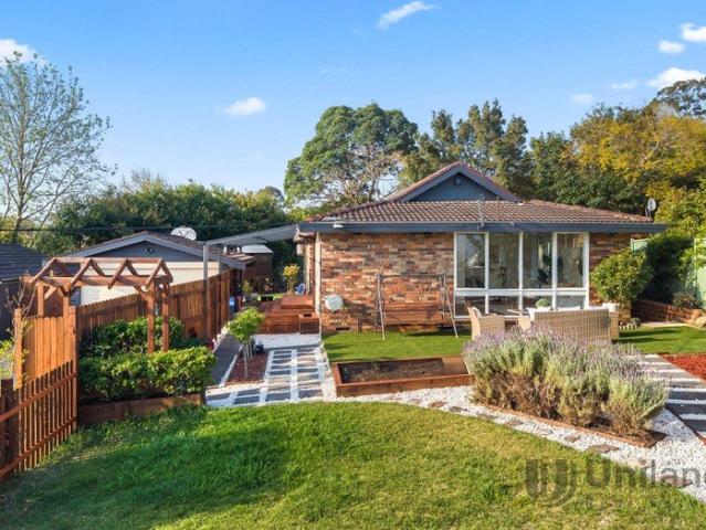 Spacious Single Level Home on an exceptional 923 sqm Block