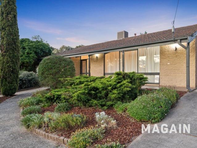 Spacious Split Level Living with Room to Entertain and Excellent Shedding