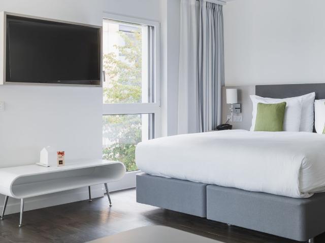 Spacious studio apartment in Nyon, Nyon Amsterdam Apartments for Rent