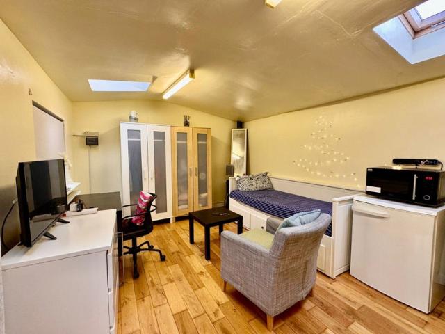 Spacious Studio With Garden Access Near Stratford