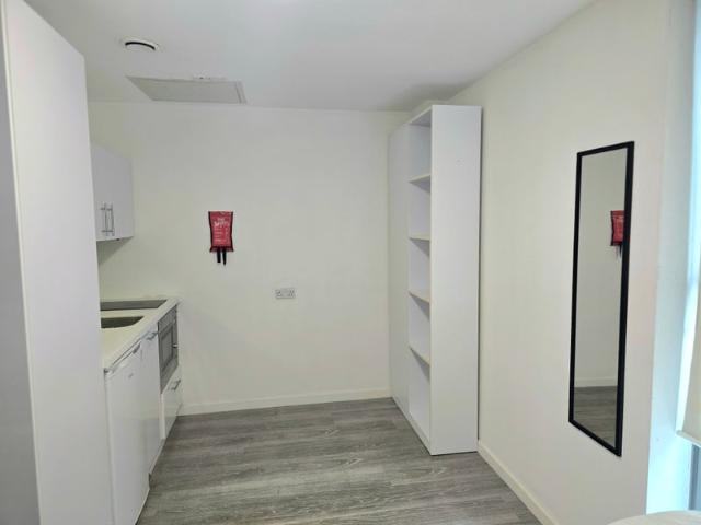 Spacious Studio Takeover in Ealing