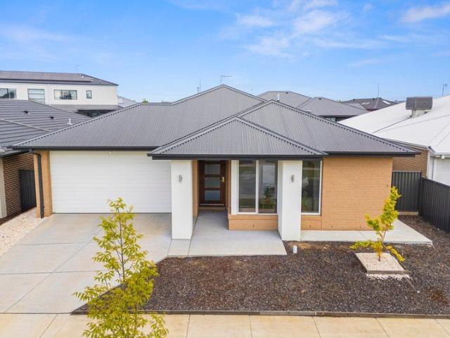 Spacious, Stylish & Beautifully Maintained Family Living in Lucas!