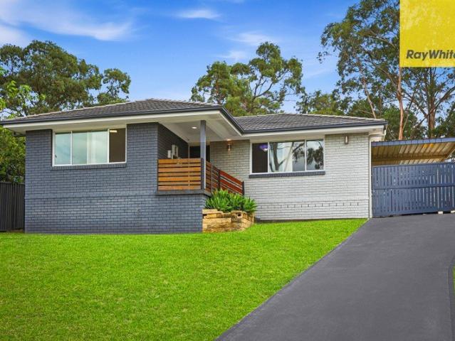 Spacious, Stylish & Set for Family Living A Hidden Gem in Dean Park