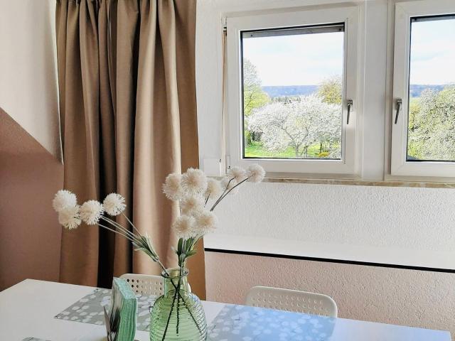 Spacious, sunny apartment in the heart of the Illtal