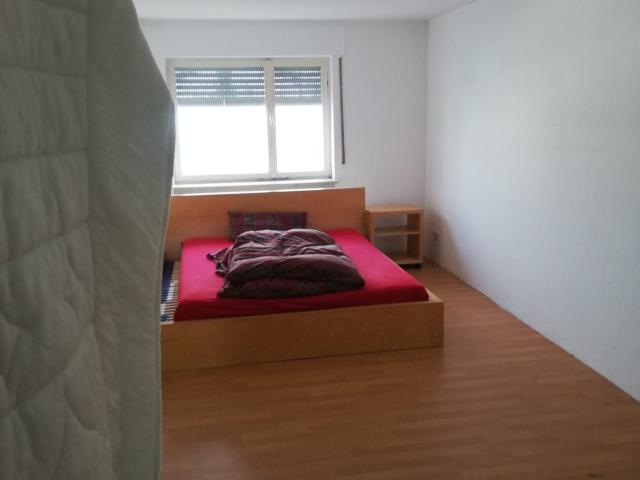 Spacious suite in Groß Zimmern