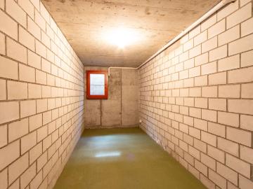 Single family house with 7.5 rooms on sale in Meyriez 393 m² | dreamo. Ch