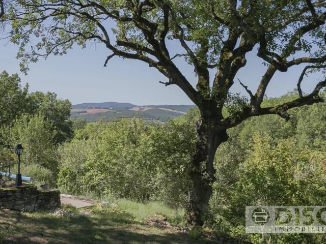 Spacieuse propriété avec Gîte, piscine et 10 hectares sur ma. 330m² Castelnau de Montmiral