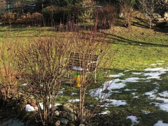 Spacieuse villa de 6.5 pièces avec un grand jardin privatif