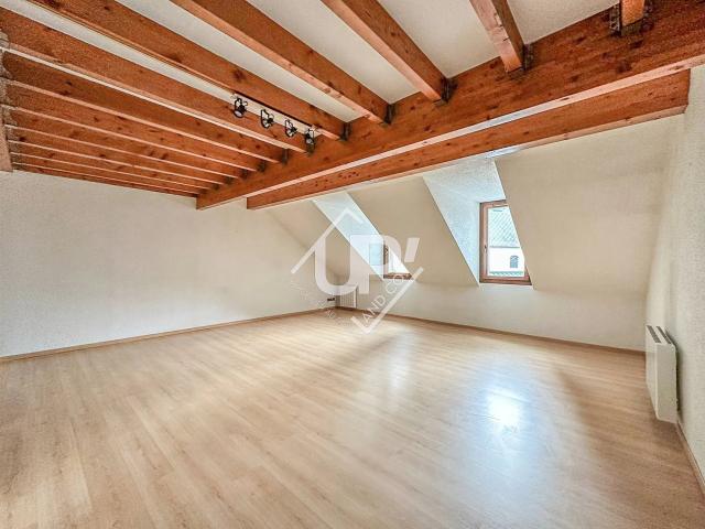 Spacieux T3 avec beaux volumes dans une petite copropriété 94m² Thônes
