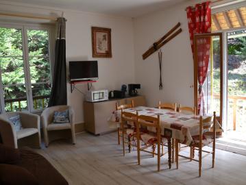 Spacieux T2 bis de 43 m2 avec balcon, vue sur le Sancy et pa