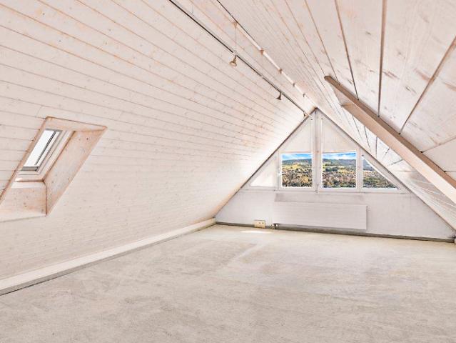 Spacieux appartement avec vue imprenable sur le lac et les montagnes