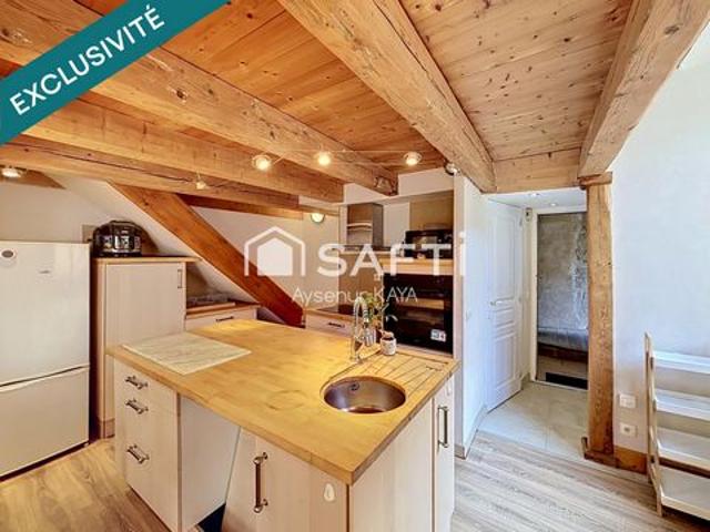 Spacieux appartement rénové