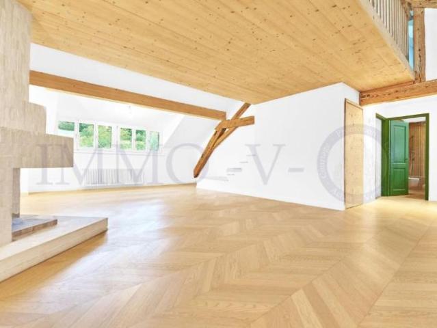 SPACIEUX ATTIQUE RENOVE DE STANDING AVEC EMPLACEMENT IDEAL