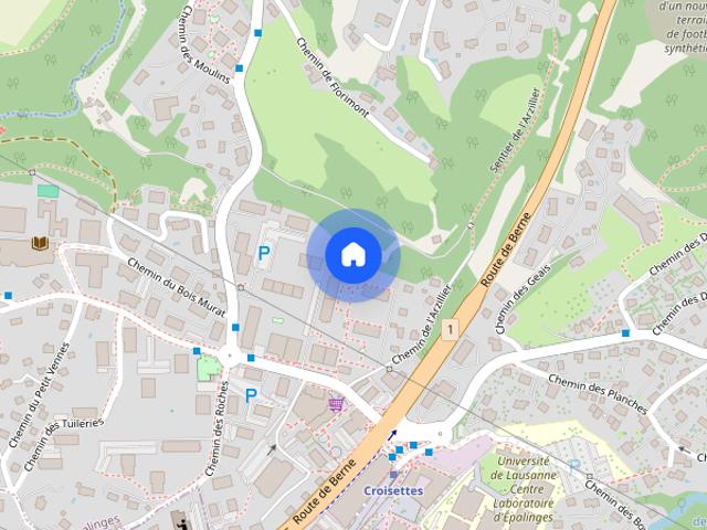 Spacieux logement à Epalinges