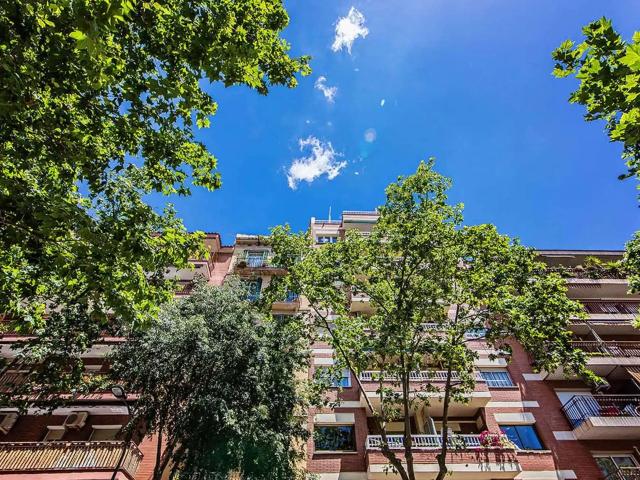 SPC 8018, Barcelona