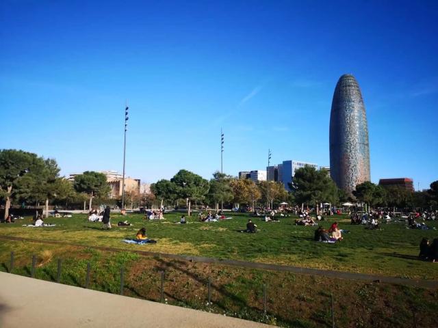 SPC 8026, Barcelona