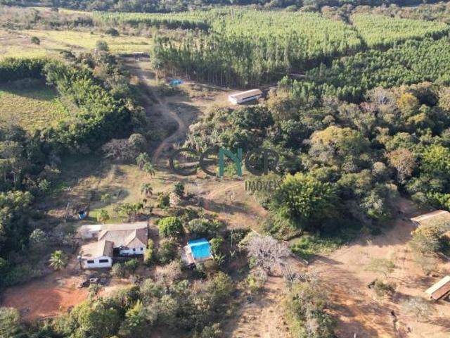 spetacular fazenda de 377 ha nas margens do Rio Pará em Pompeu MG