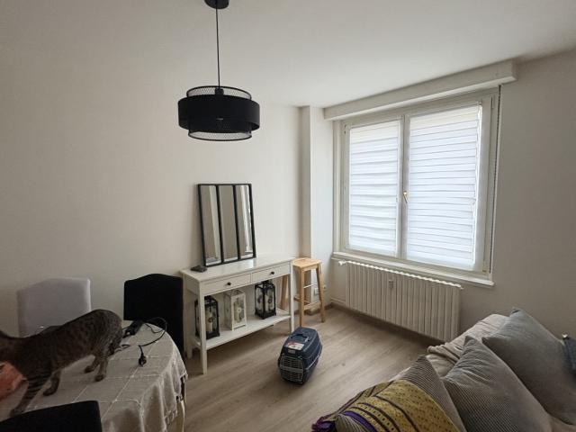Spécial investisseur Appartement F2 rénové et loué Schiltigheim